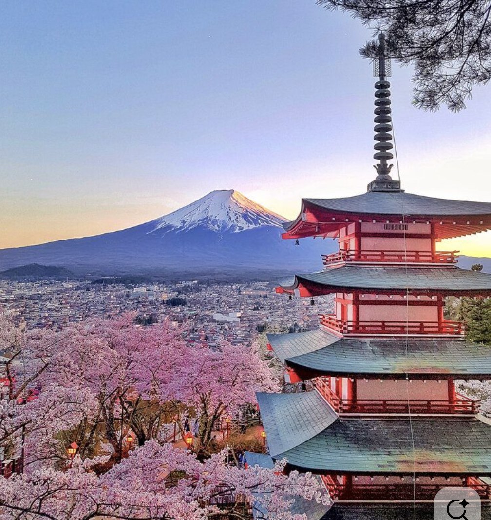 Japan Trip